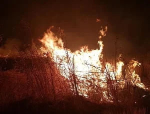 İslahiye’de İki Ayrı Anız Yangını 6,5 Saatte Kontrol Altına Alındı