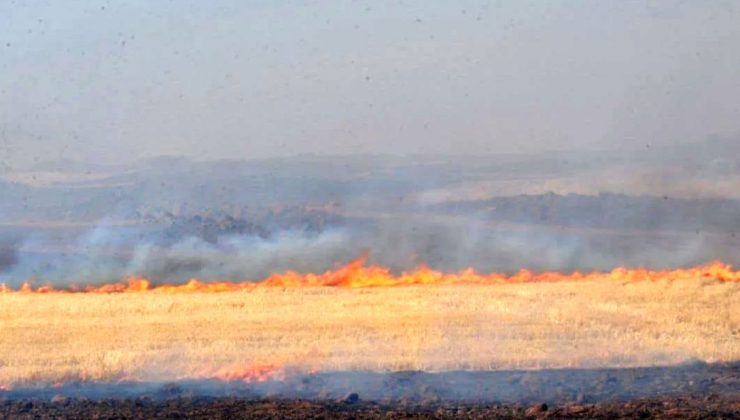 İslahiye’de Çıkan Yangında Binlerce Dönüm Arazi Zarar Gördü