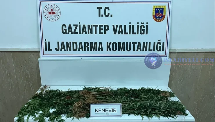 Gaziantep’te Uyuşturucu Operasyonu 6 Şüpheli Yakalandı
