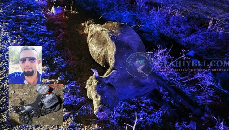 İslahiye’de Motosiklet İneğe Çarptı Sürücü Hayatını Kaybetti