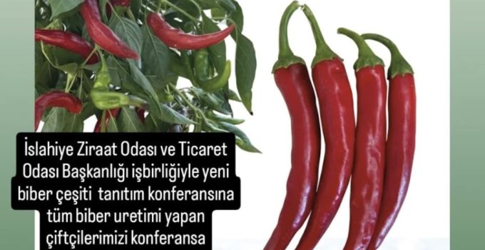 İslahiye’de VİNO F1 Yeni Biber Çeşidi Tanıtım Konferansı Düzenlenecek