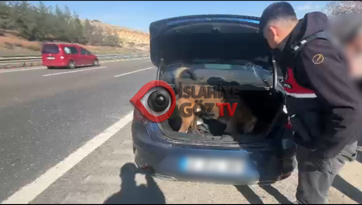 Gaziantep İl Jandarma Komutanlığı’ndan Otoyolda Uyuşturucu Operasyonu