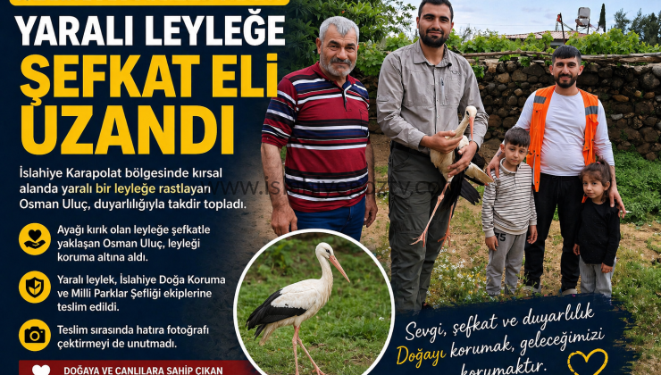 İslahiye’de Duyarlılık Örneği: Yaralı Leyleğe Şefkat Eli