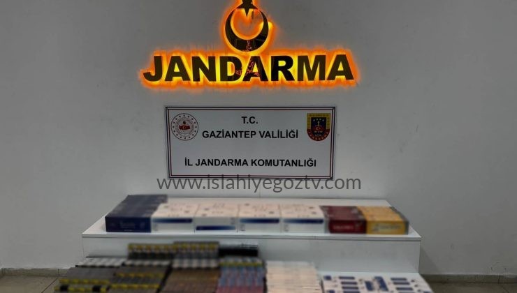 Jandarma Kaçakçılara Göz Açtırmıyor