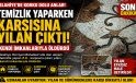 Hürriyet Mahallesi’nde Korku Dolu Anlar! Evde Karşısına Çıkan Yılanı Öldürdü