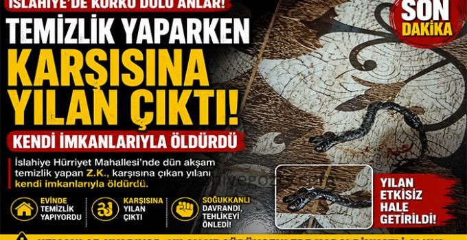 Hürriyet Mahallesi’nde Korku Dolu Anlar! Evde Karşısına Çıkan Yılanı Öldürdü
