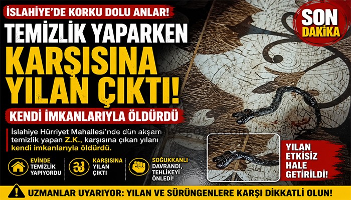 Hürriyet Mahallesi’nde Korku Dolu Anlar! Evde Karşısına Çıkan Yılanı Öldürdü