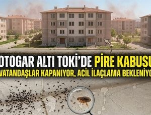 Otogar Altı TOKİ’de Pire Kabusu: Vatandaşlar Kapı Pencere Açamıyor