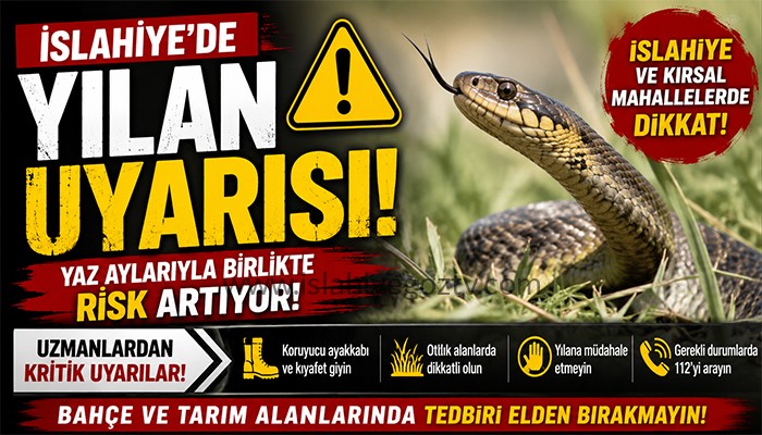 Yaz Aylarıyla Birlikte Yılan Uyarısı: Kırsal Bölgelerde Dikkatli Olun