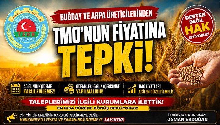 İslahiye Ziraat Odası Başkanı Osman Erdoğan’dan TMO Fiyatlarına Tepki