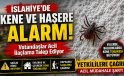 İslahiye’de Kene ve Haşere Alarmı! Vatandaşlar Acil İlaçlama Talep Ediyor
