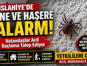 İslahiye’de Kene ve Haşere Alarmı! Vatandaşlar Acil İlaçlama Talep Ediyor