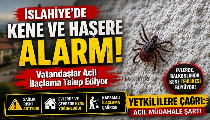 İslahiye’de Kene ve Haşere Alarmı! Vatandaşlar Acil İlaçlama Talep Ediyor