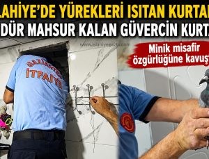 İslahiye’de Yürekleri Isıtan Kurtarma 3 Gündür Mahsur Kalan Güvercin Kurtarıldı
