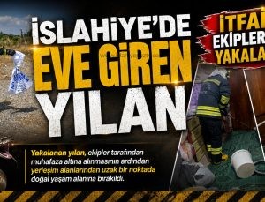 İslahiye’de Eve Giren Yılan İtfaiye Ekiplerince Yakalandı