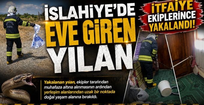 İslahiye’de Eve Giren Yılan İtfaiye Ekiplerince Yakalandı