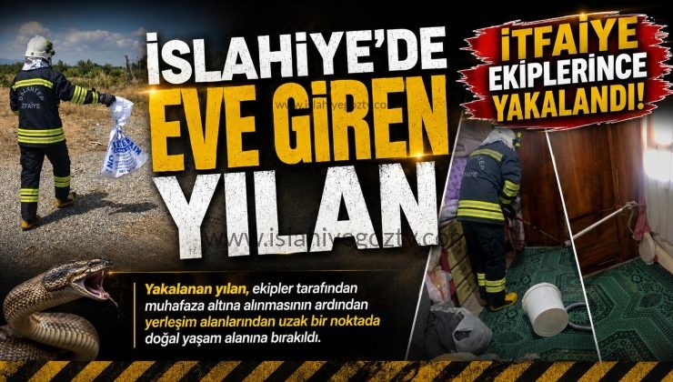 İslahiye’de Eve Giren Yılan İtfaiye Ekiplerince Yakalandı