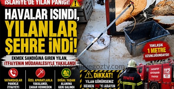 İSLAHİYE’DE YILAN ALARMI! HAVALAR ISINDI, YILANLAR YERLEŞİM YERLERİNE İNDİ