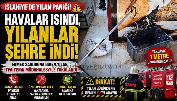 İSLAHİYE’DE YILAN ALARMI! HAVALAR ISINDI, YILANLAR YERLEŞİM YERLERİNE İNDİ