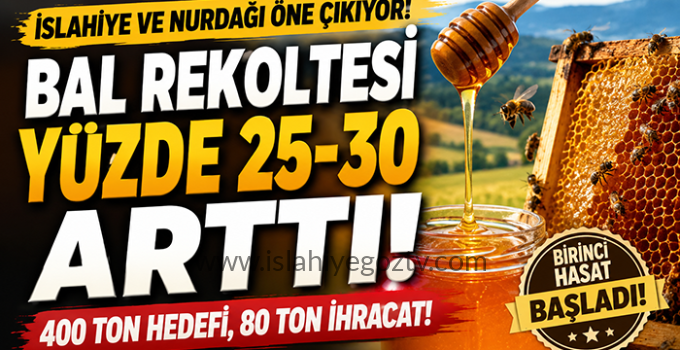 İslahiye ve Nurdağı’nda Bal Hasadı Başladı: Rekoltede Yüzde 30’a Varan Artış Bekleniyor