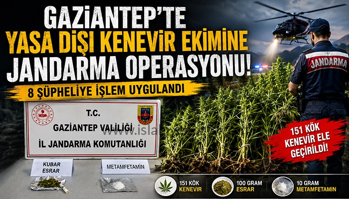 Gaziantep’te Yasa Dışı Kenevir Ekimine Jandarma Operasyonu: 8 Şüpheliye İşlem
