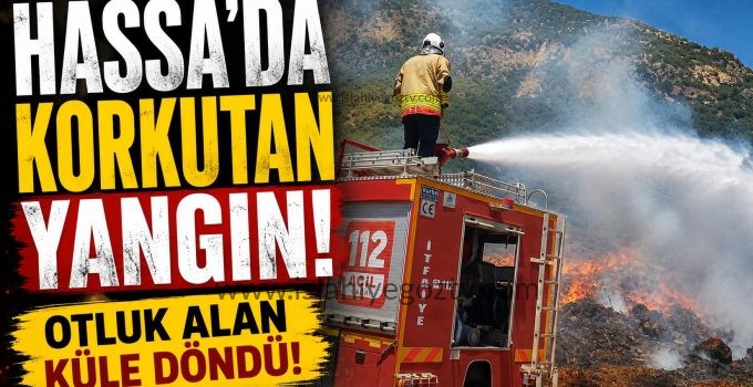 Hassa’da Otluk Alanda Çıkan Yangın Büyümeden Söndürüldü