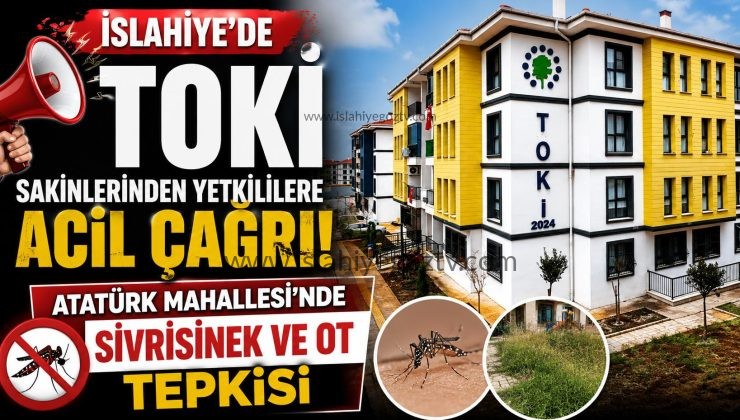 TOKİ Sakinlerinden Sivrisinek ve Bakım Tepkisi Ne Pencere Açabiliyoruz Ne Balkonda Oturabiliyoruz