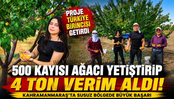 Susuz bölgede 500 kayısı ağacı yetiştirip 4 ton verim aldı, proje Türkiye birinciliği getirdi
