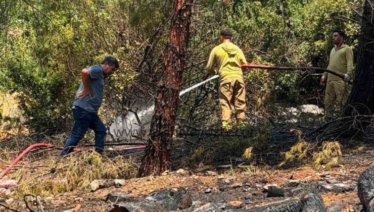 İSLAHİYE’DE ORMAN YANGINI KORKUTTU: EKİPLER 1 SAATTE KONTROL ALTINA ALDI