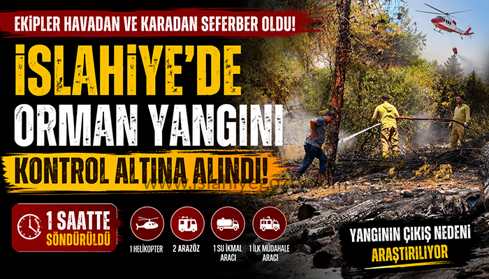 ORMAN YANGINI KORKUTTU EKİPLER 1 SAATTE KONTROL ALTINA ALDI