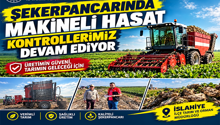 Şeker Pancarında Makineli Hasat Kontrolleri Sürüyor