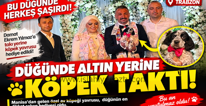 DÜĞÜNDE ALTIN YERİNE KÖPEK TAKTI!