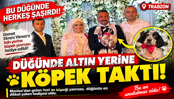 DÜĞÜNDE ALTIN YERİNE KÖPEK TAKTI!