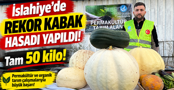 İslahiye’de Organik Üretimde Rekor! 50 Kiloluk Dev Kabağın Hasadı Yapıldı