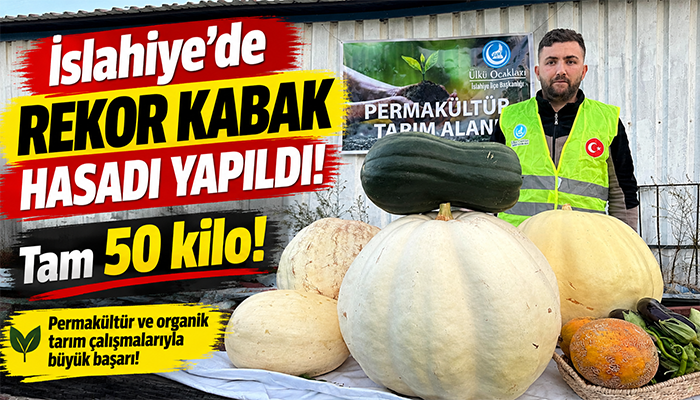 İslahiye’de Organik Üretimde Rekor! 50 Kiloluk Dev Kabağın Hasadı Yapıldı
